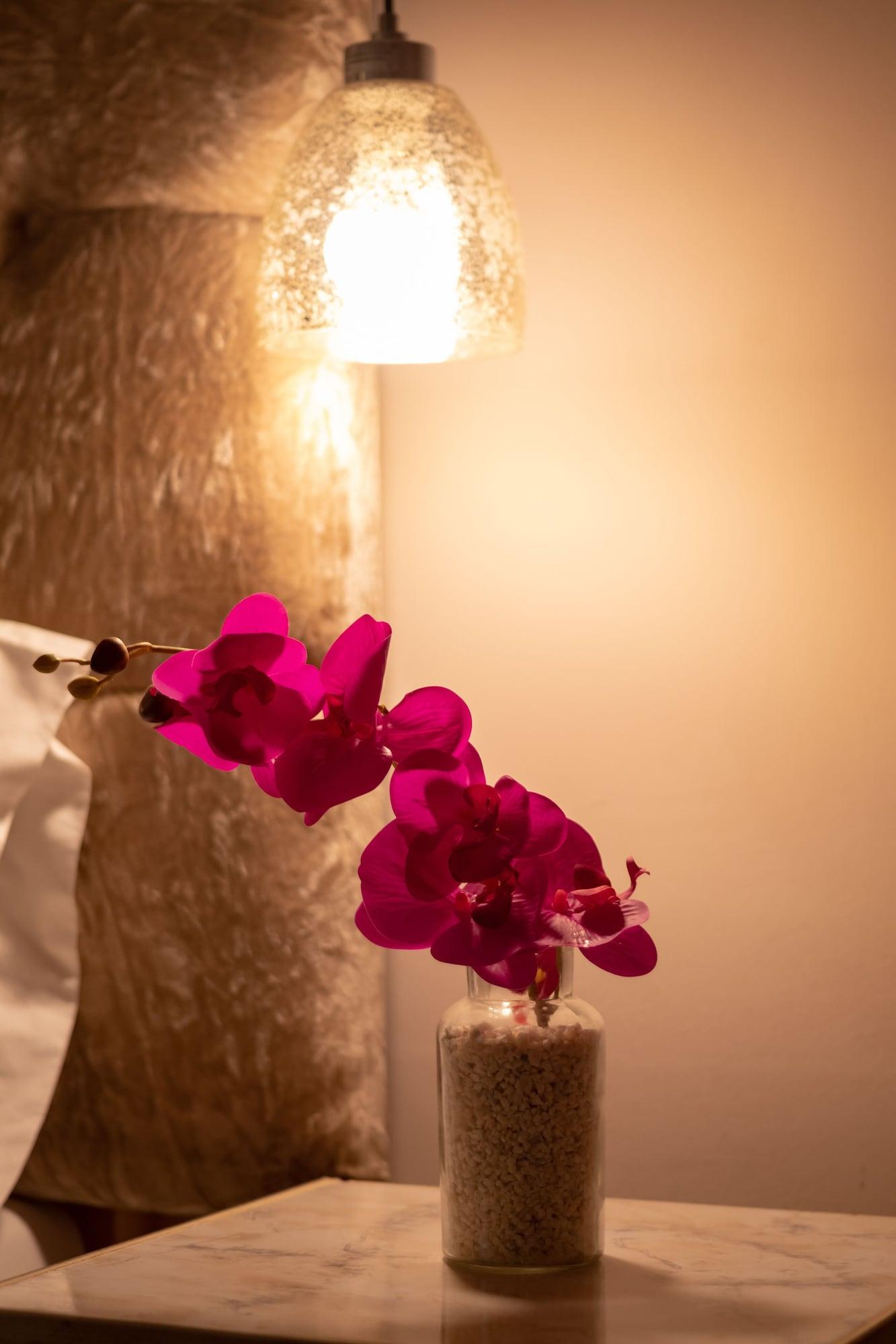 Aposentos De San Pedro Otel Cartagena Dış mekan fotoğraf